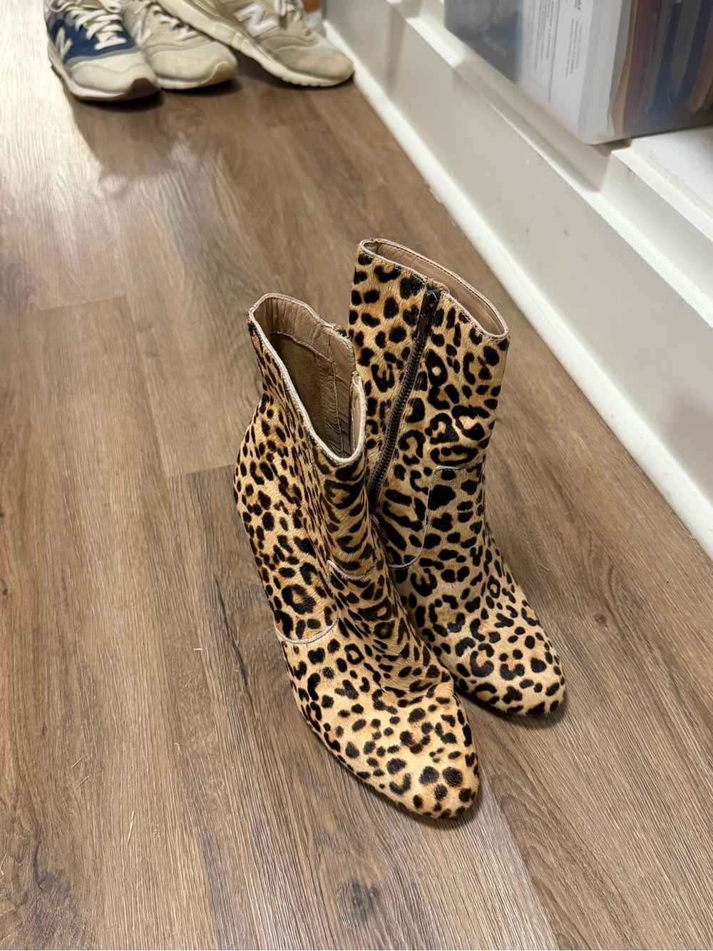 Steve Madden Leopard Print Ankle Booties in Tan and Black